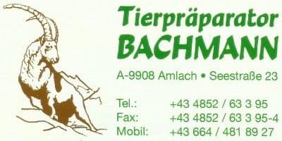 Tierpräparator Bachmann